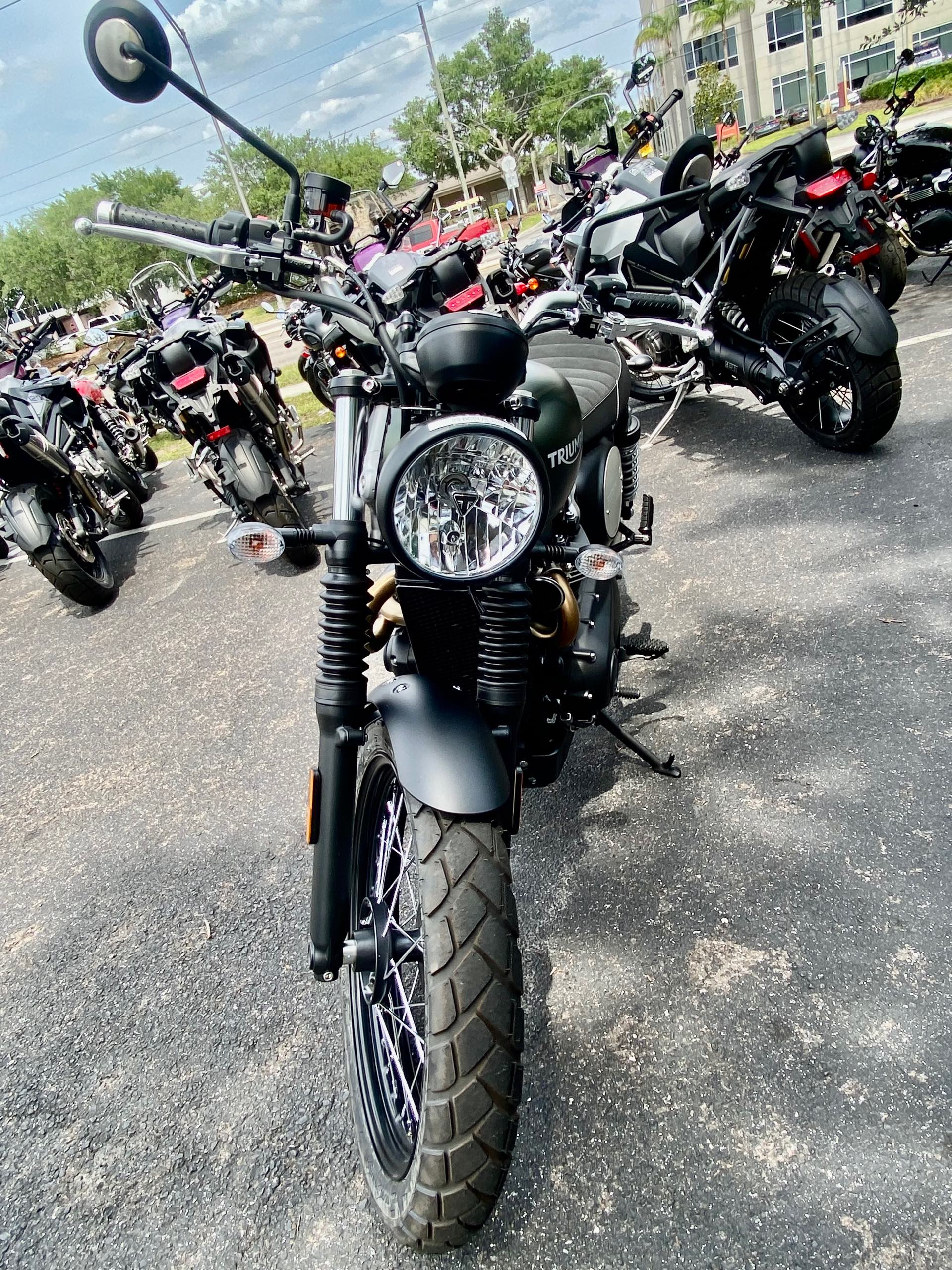 2023 Triumph Scrambler 900 Base at Tampa Triumph, Tampa, FL 33614