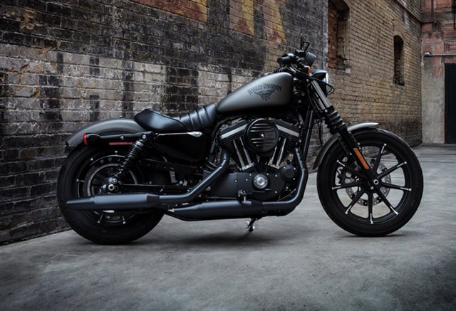 2018 Harley-Davidson Sportster Iron 883 at Texarkana Harley-Davidson