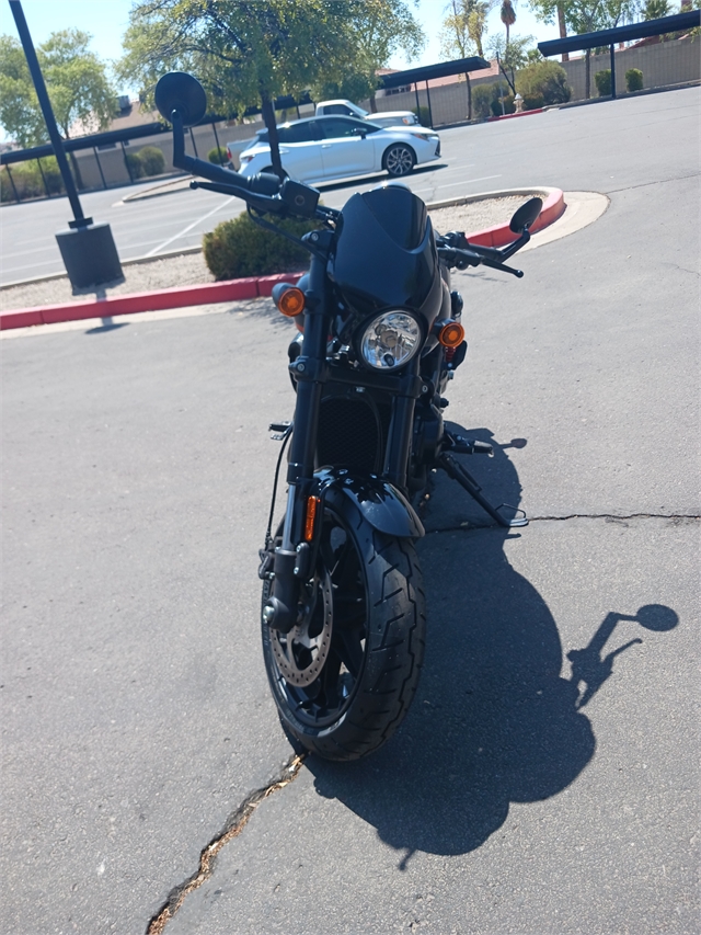 2020 Harley-Davidson Street Street Rod at Buddy Stubbs Arizona Harley-Davidson