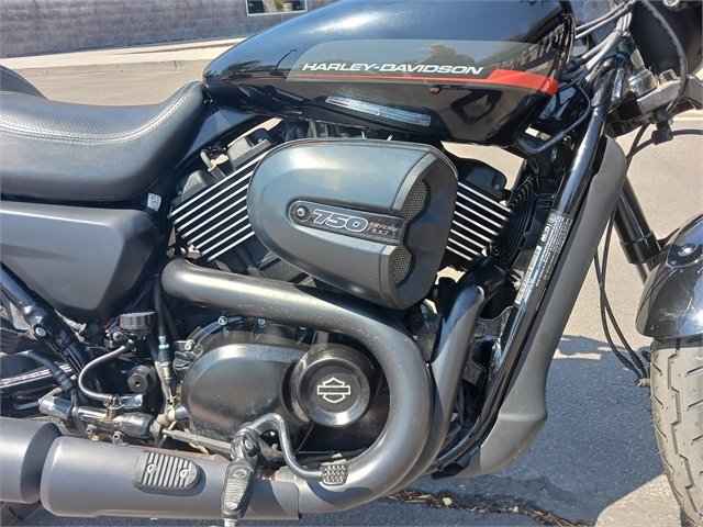 2020 Harley-Davidson Street Street Rod at Buddy Stubbs Arizona Harley-Davidson