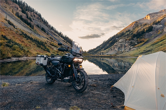 2024 Harley-Davidson Pan America 1250 Special at Texas Harley