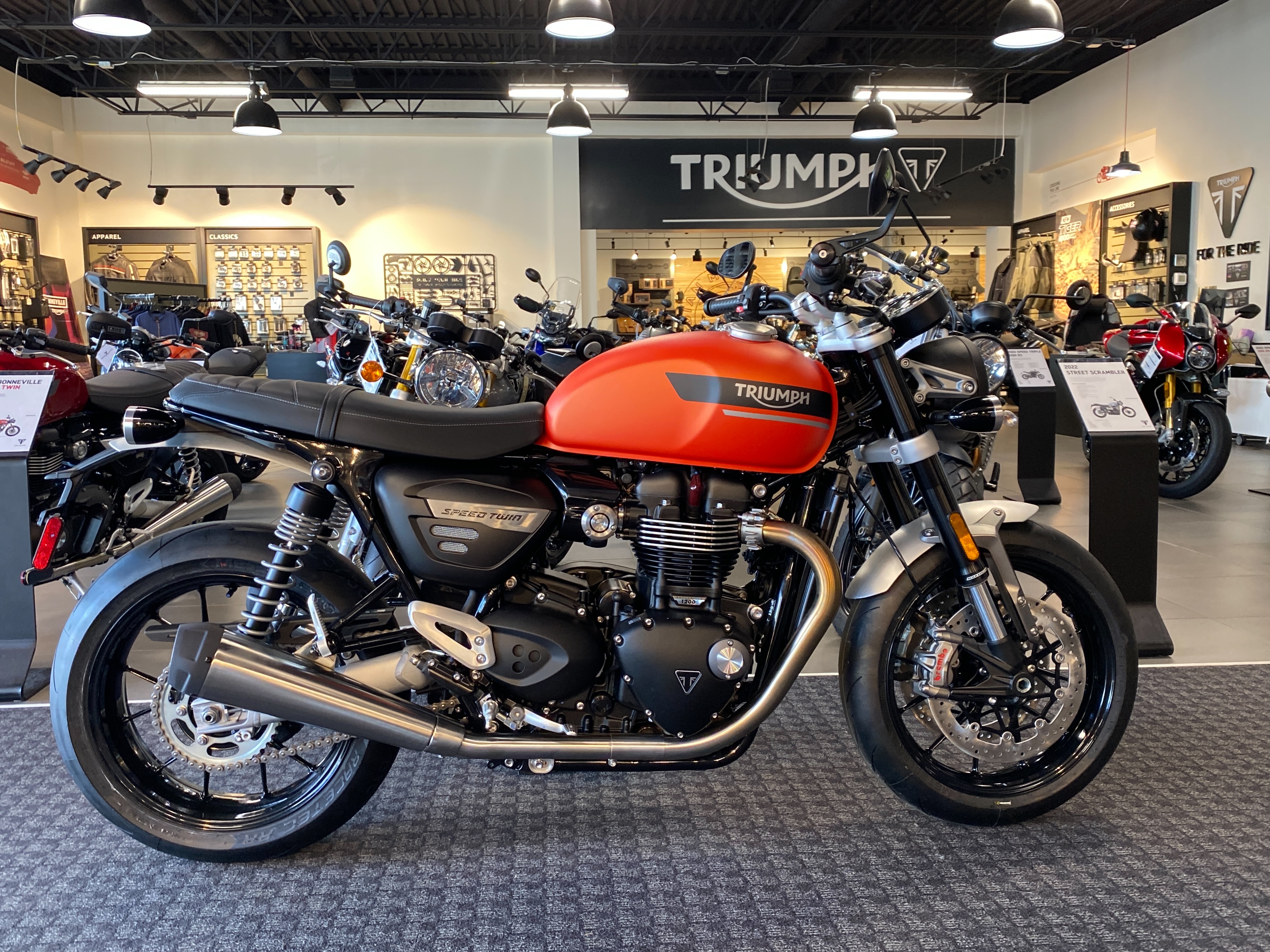 2023 Triumph Speed Twin 1200 Base at Frontline Eurosports