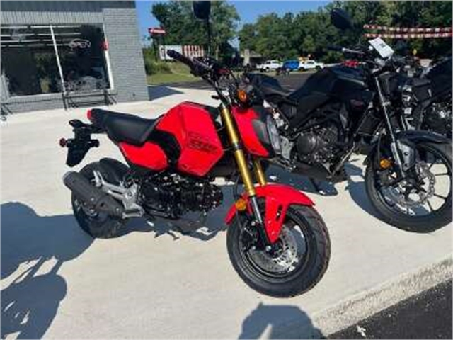 2025 Honda Grom Base at Kent Motorsports, New Braunfels, TX 78130