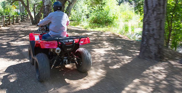 2017 Honda FourTrax Rancher 4X4 ES at Paulson's Motorsports