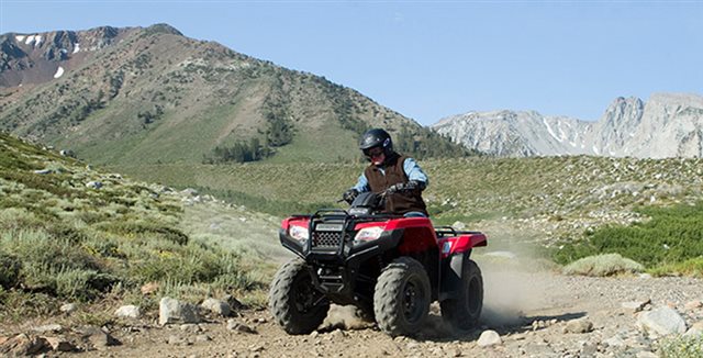 2017 Honda FourTrax Rancher 4X4 ES at Paulson's Motorsports