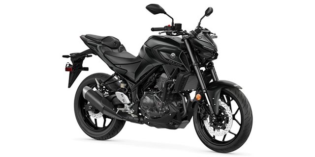2025 Yamaha MT 03 at ATVs and More