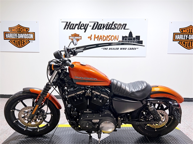 2020 Harley-Davidson Sportster Iron 883 at Harley-Davidson of Madison