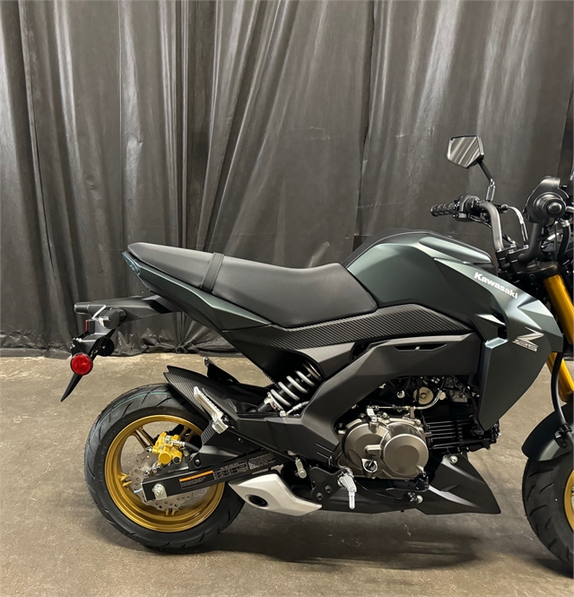 2025 Kawasaki Z125 PRO Base at Powersports St. Augustine