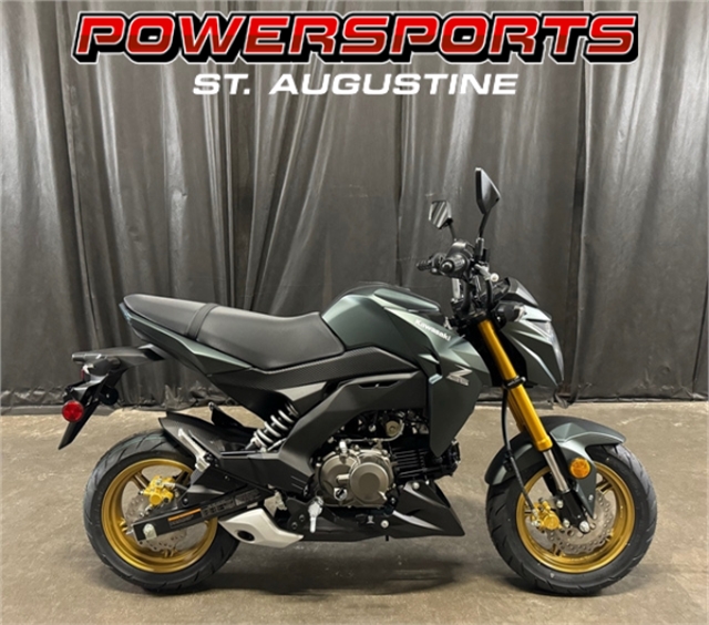 2025 Kawasaki Z125 PRO Base at Powersports St. Augustine