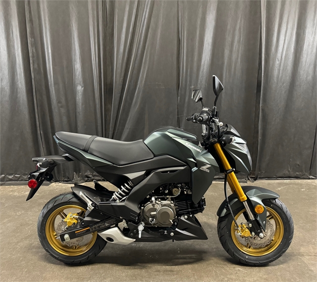 2025 Kawasaki Z125 PRO Base at Powersports St. Augustine