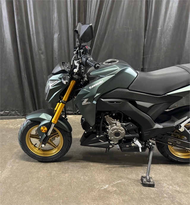 2025 Kawasaki Z125 PRO Base at Powersports St. Augustine