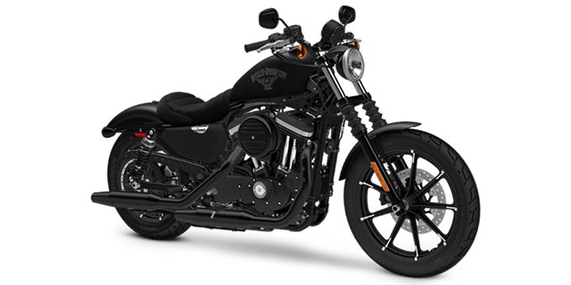 2016 Harley-Davidson Sportster Iron 883 at Buddy Stubbs Arizona Harley-Davidson