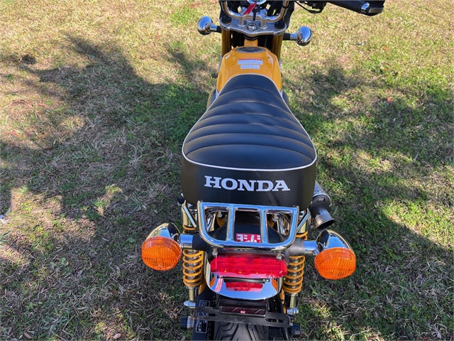 2019 Honda Monkey Base at Powersports St. Augustine