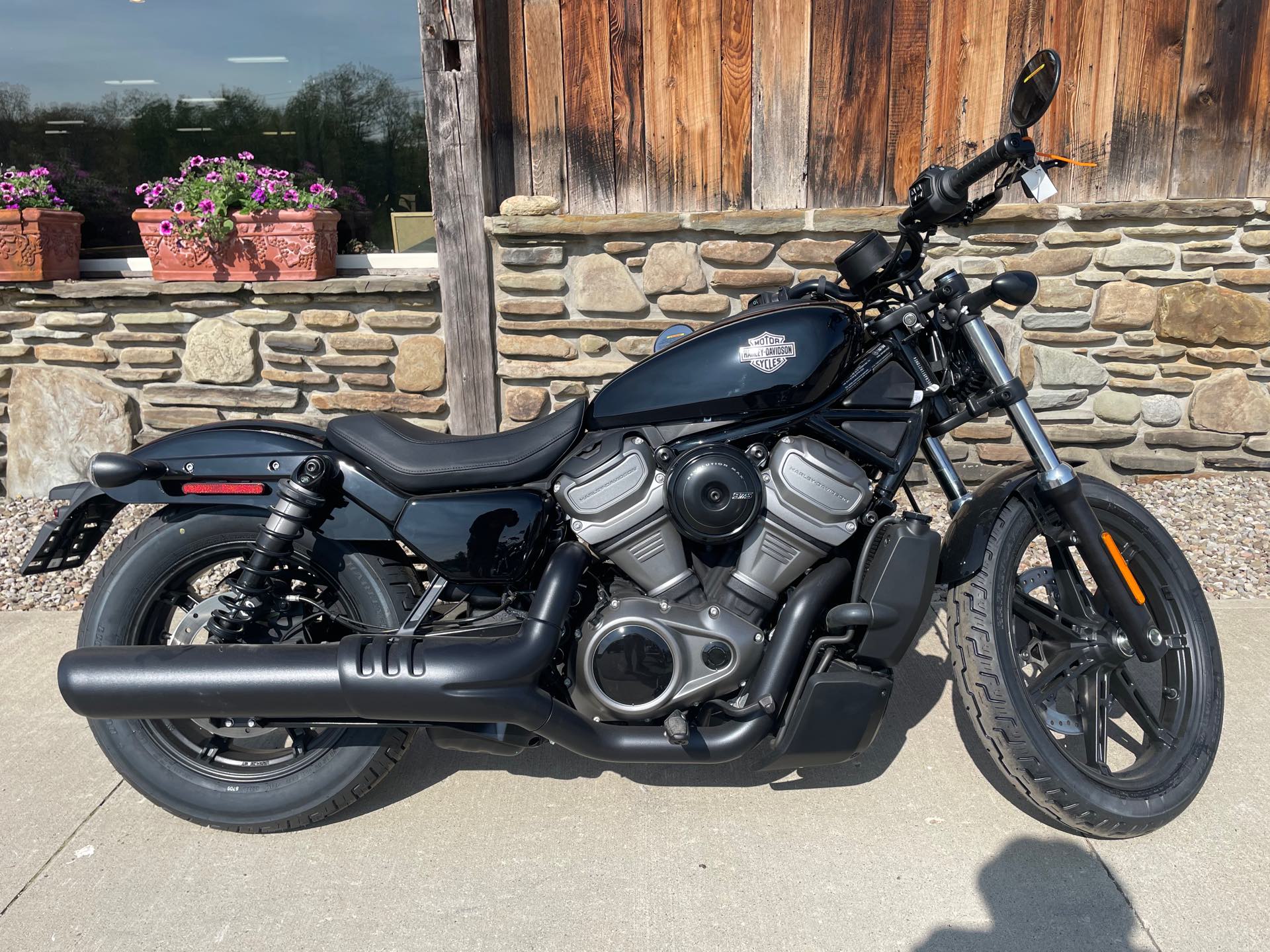 2023 Harley-Davidson Sportster Nightster at Arkport Cycles