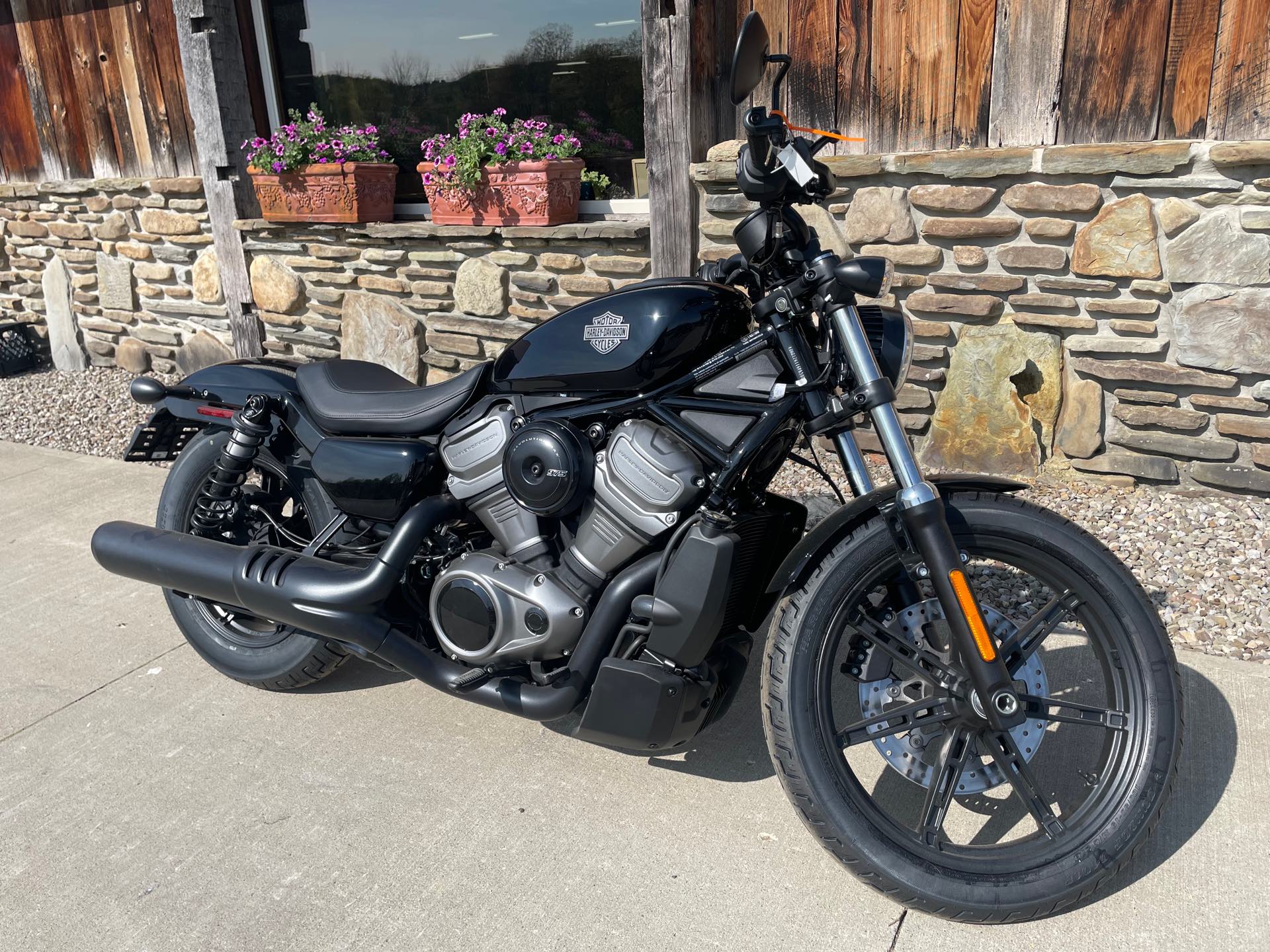 2023 Harley-Davidson Sportster Nightster at Arkport Cycles
