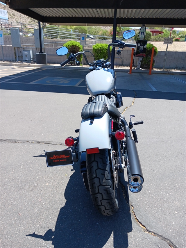 2024 Harley-Davidson Softail Street Bob 114 at Buddy Stubbs Arizona Harley-Davidson