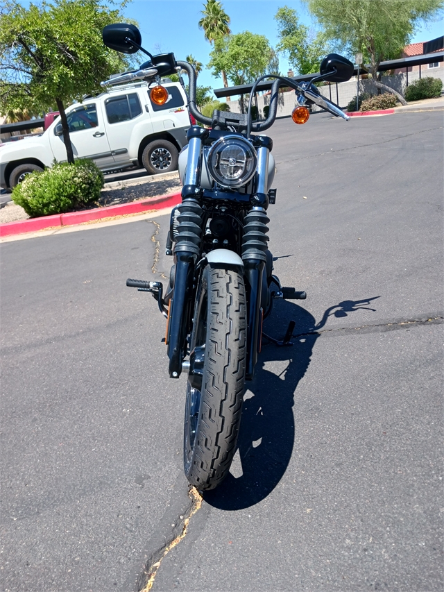 2024 Harley-Davidson Softail Street Bob 114 at Buddy Stubbs Arizona Harley-Davidson
