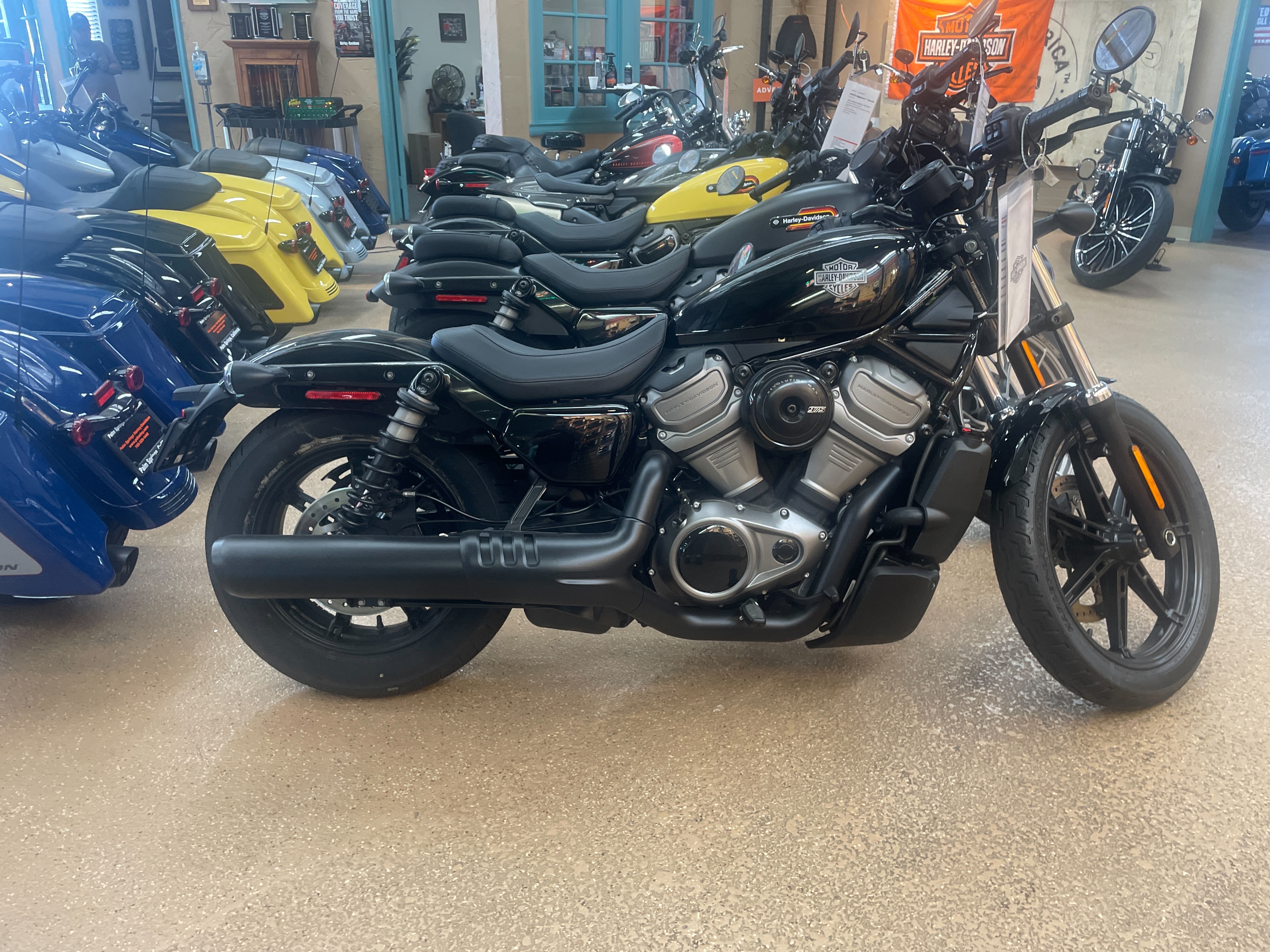 2023 Harley-Davidson Sportster Nightster at Palm Springs Harley-Davidson®