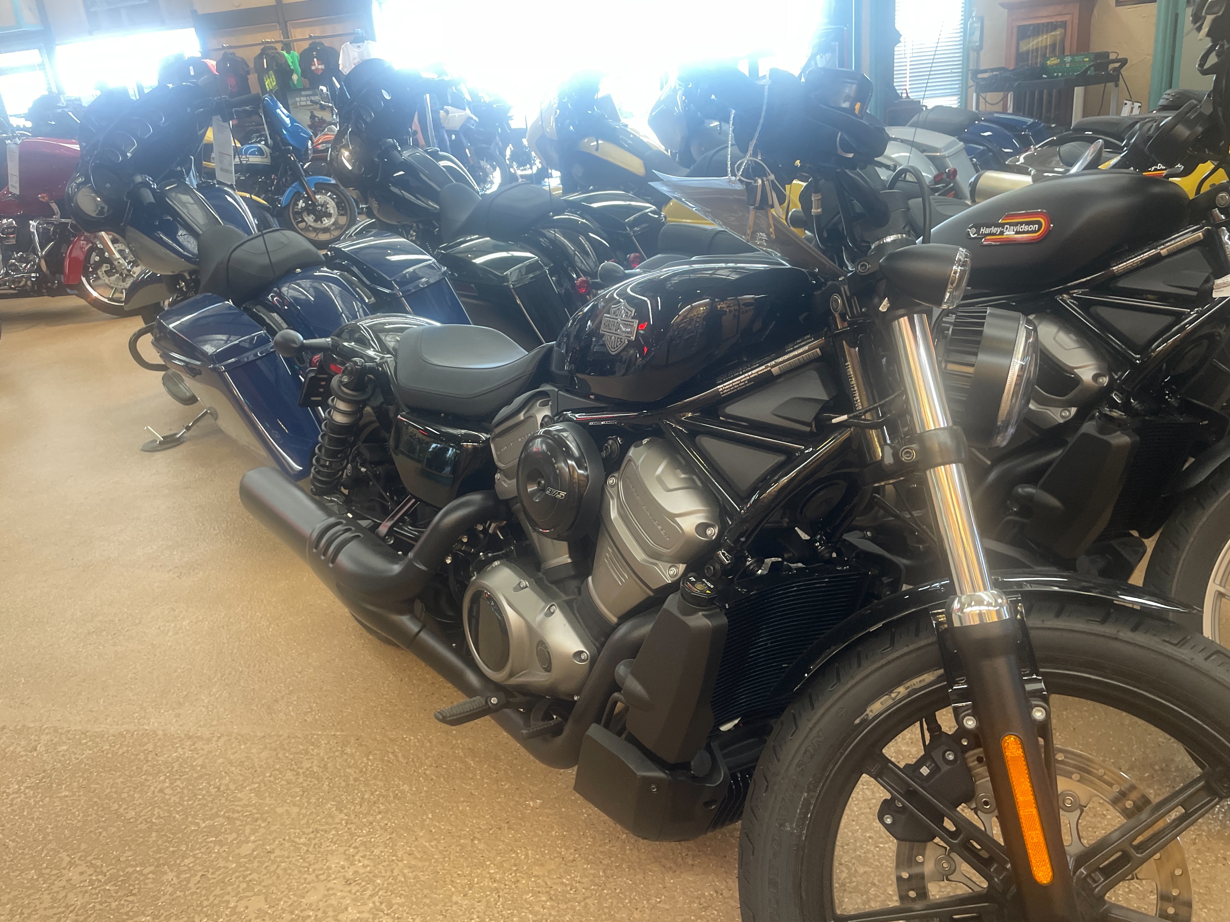 2023 Harley-Davidson Sportster Nightster at Palm Springs Harley-Davidson®