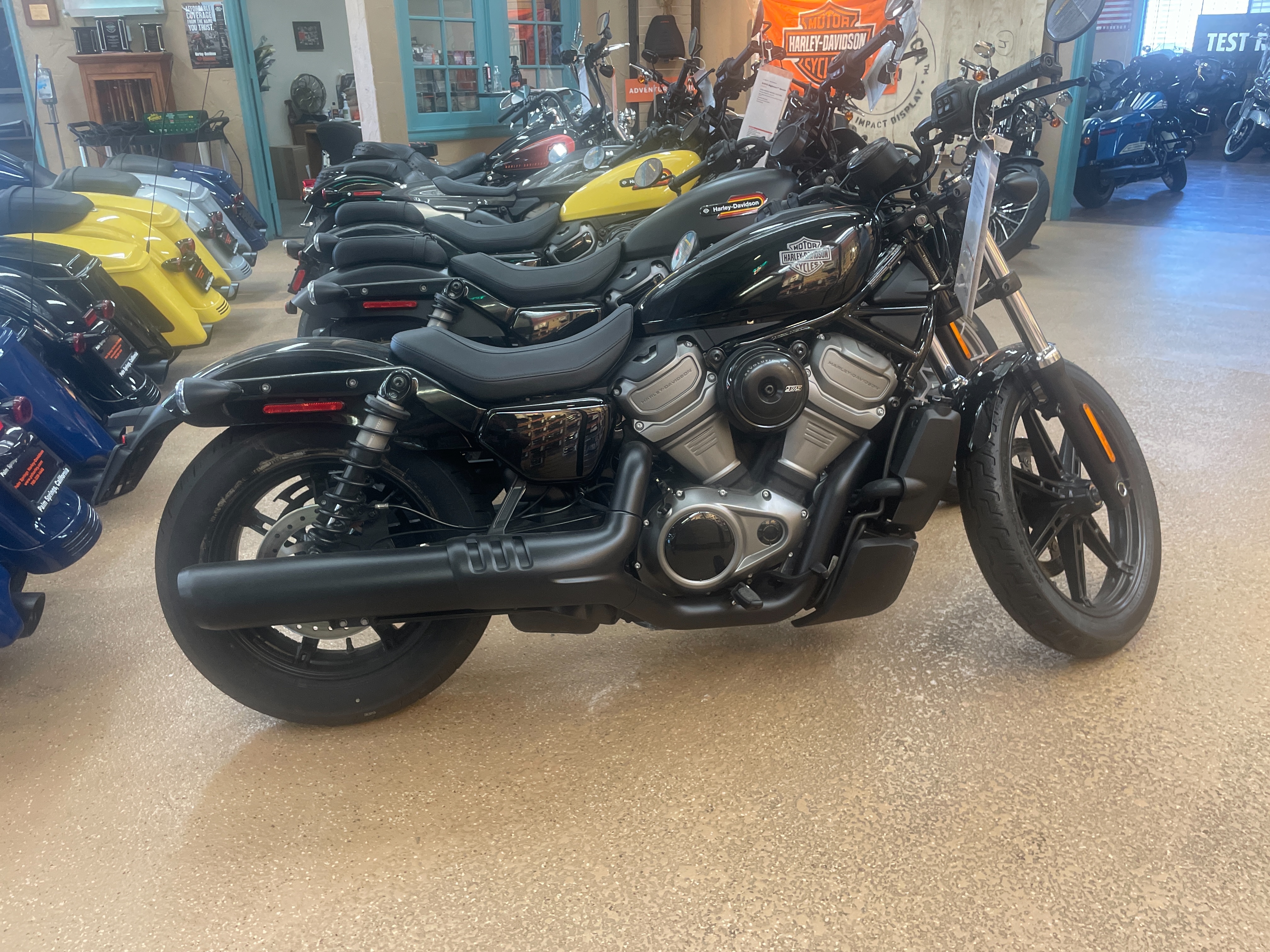 2023 Harley-Davidson Sportster Nightster at Palm Springs Harley-Davidson®