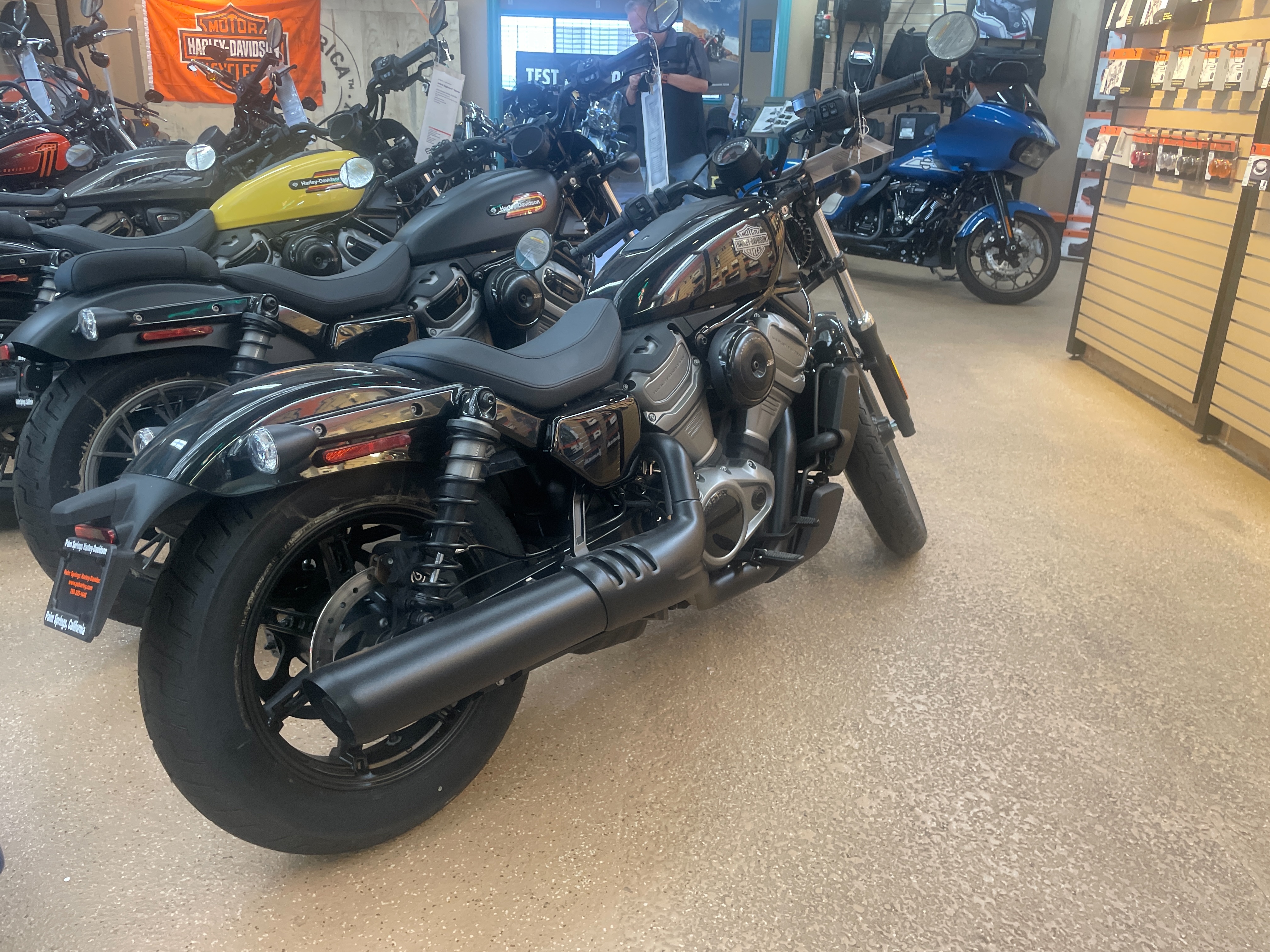 2023 Harley-Davidson Sportster Nightster at Palm Springs Harley-Davidson®