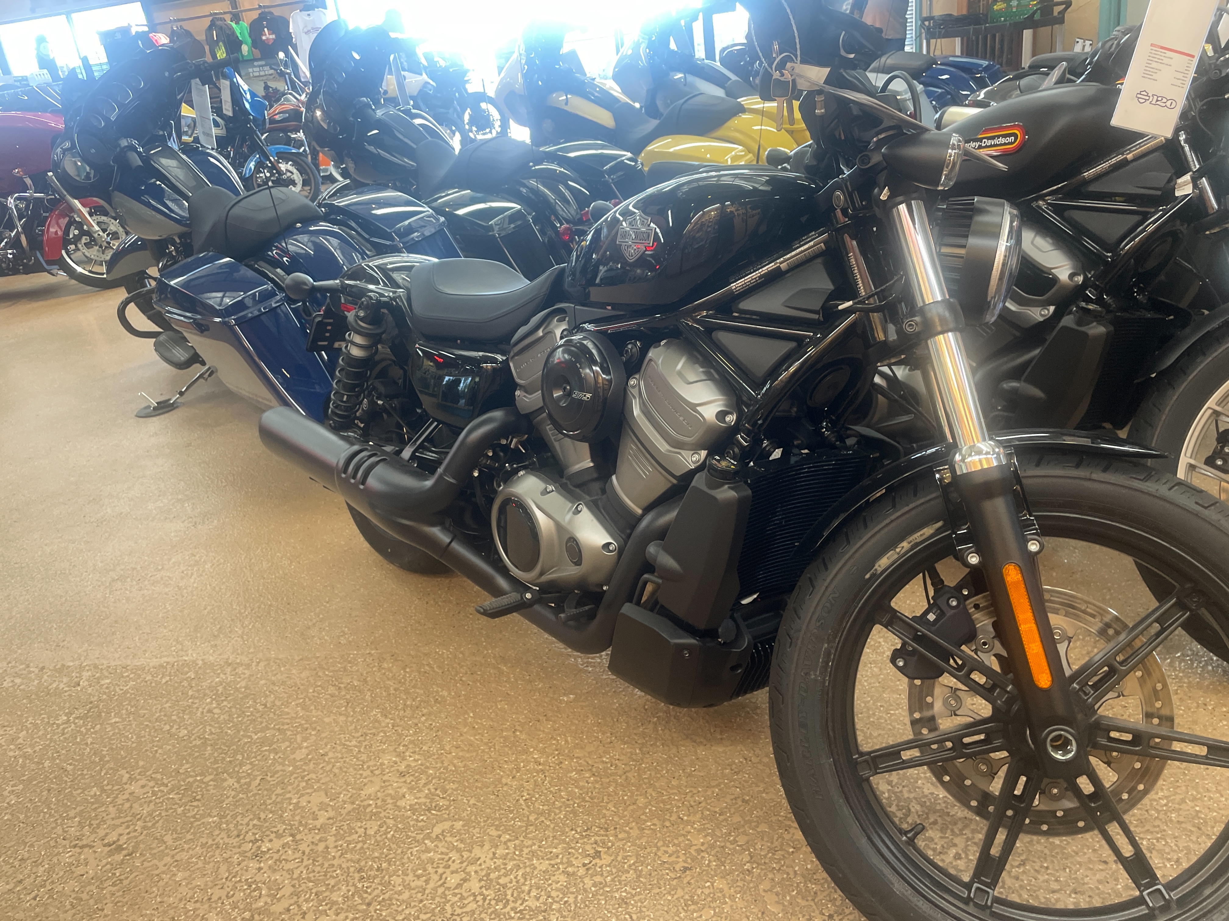 2023 Harley-Davidson Sportster Nightster at Palm Springs Harley-Davidson®