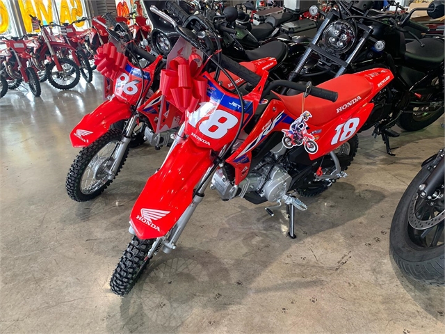 2024 Honda CRF 110F at Kent Motorsports, New Braunfels, TX 78130