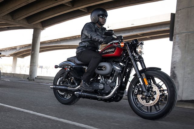 harley davidson roadster 2019