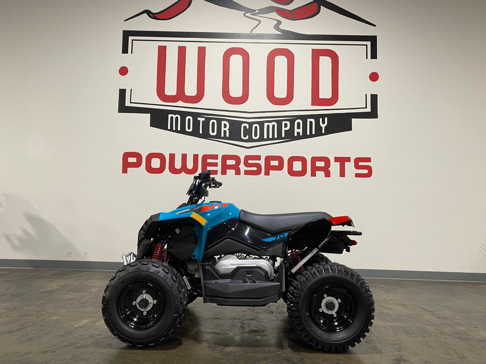 2024 Can-Am Renegade 70 EFI at Wood Powersports Harrison