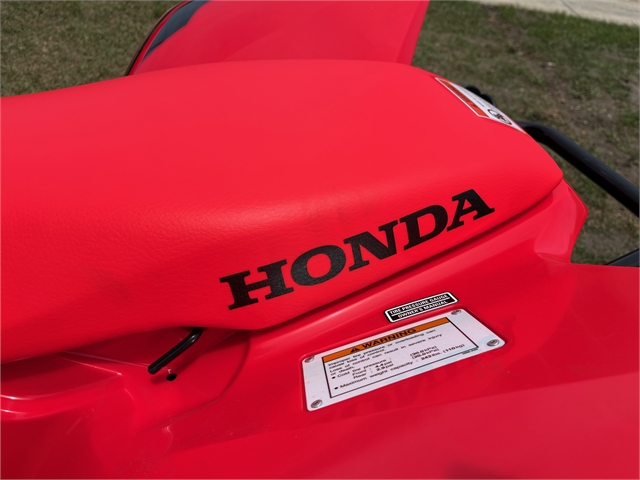 2022 Honda TRX 250X at Powersports St. Augustine