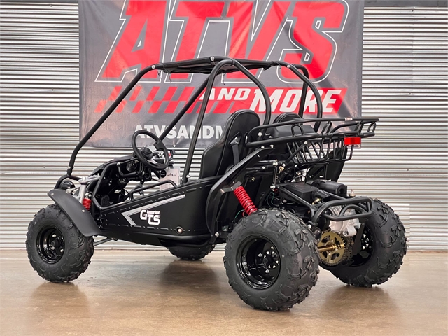 2022 Hammerhead GTS150 at ATVs and More
