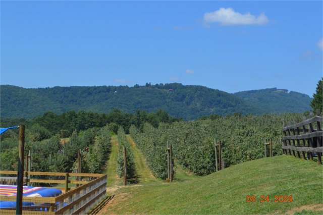 2024 Aug 24 Henderson County Foster Parent Association - Poker Run Photos at Smoky Mountain HOG