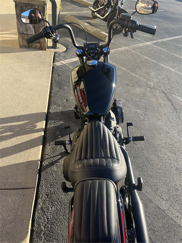 2024 Harley-Davidson Softail Street Bob 114 at Harley-Davidson of Asheville