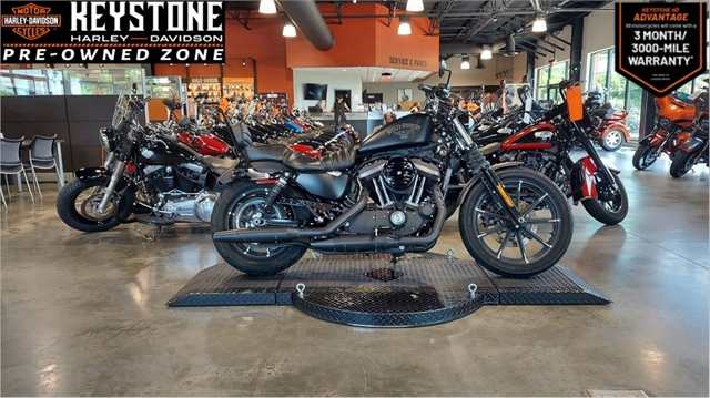 2017 Harley-Davidson Sportster Iron 883 at Keystone Harley-Davidson