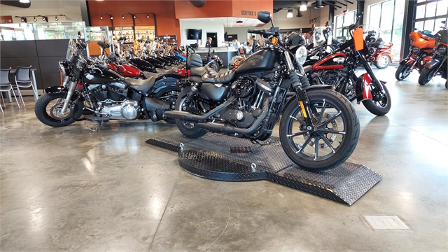 2017 Harley-Davidson Sportster Iron 883 at Keystone Harley-Davidson