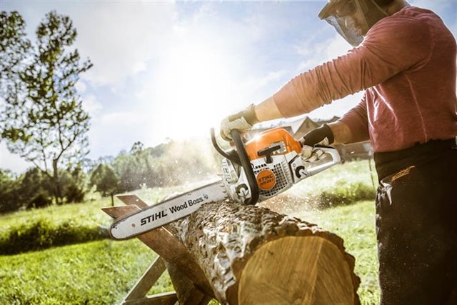 2024 STIHL MS251/18 at McKinney Outdoor Superstore