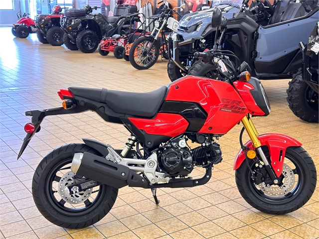 2025 Honda Grom Base at Southern Illinois Motorsports