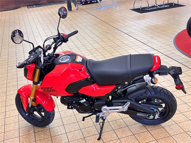 2025 Honda Grom Base at Southern Illinois Motorsports