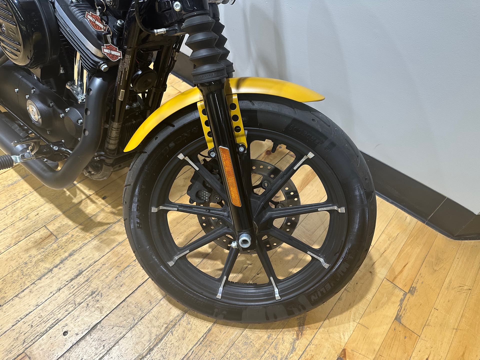 2019 Harley-Davidson Sportster Iron 883T at Zips 45th Parallel Harley-Davidson