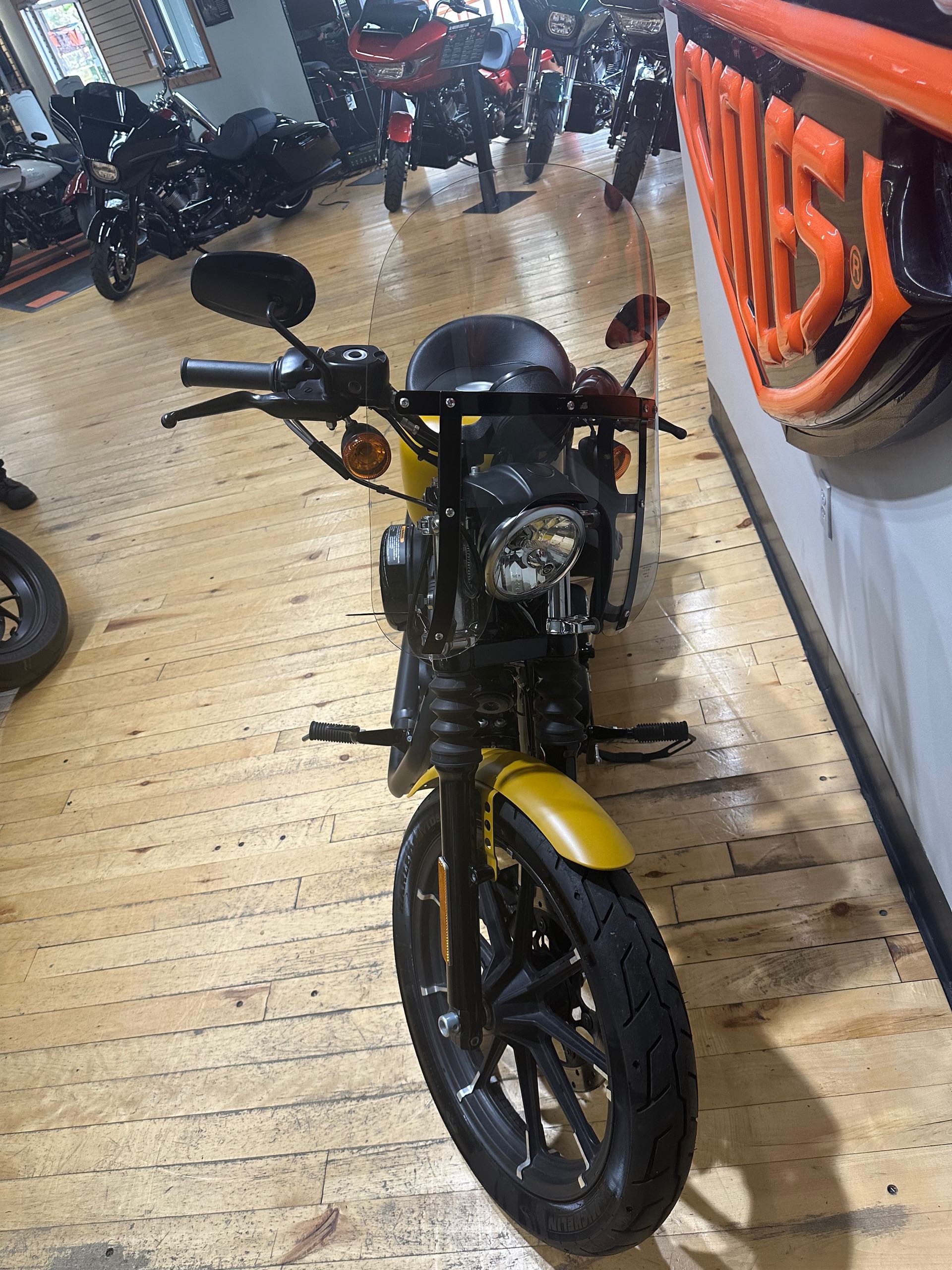 2019 Harley-Davidson Sportster Iron 883T at Zips 45th Parallel Harley-Davidson