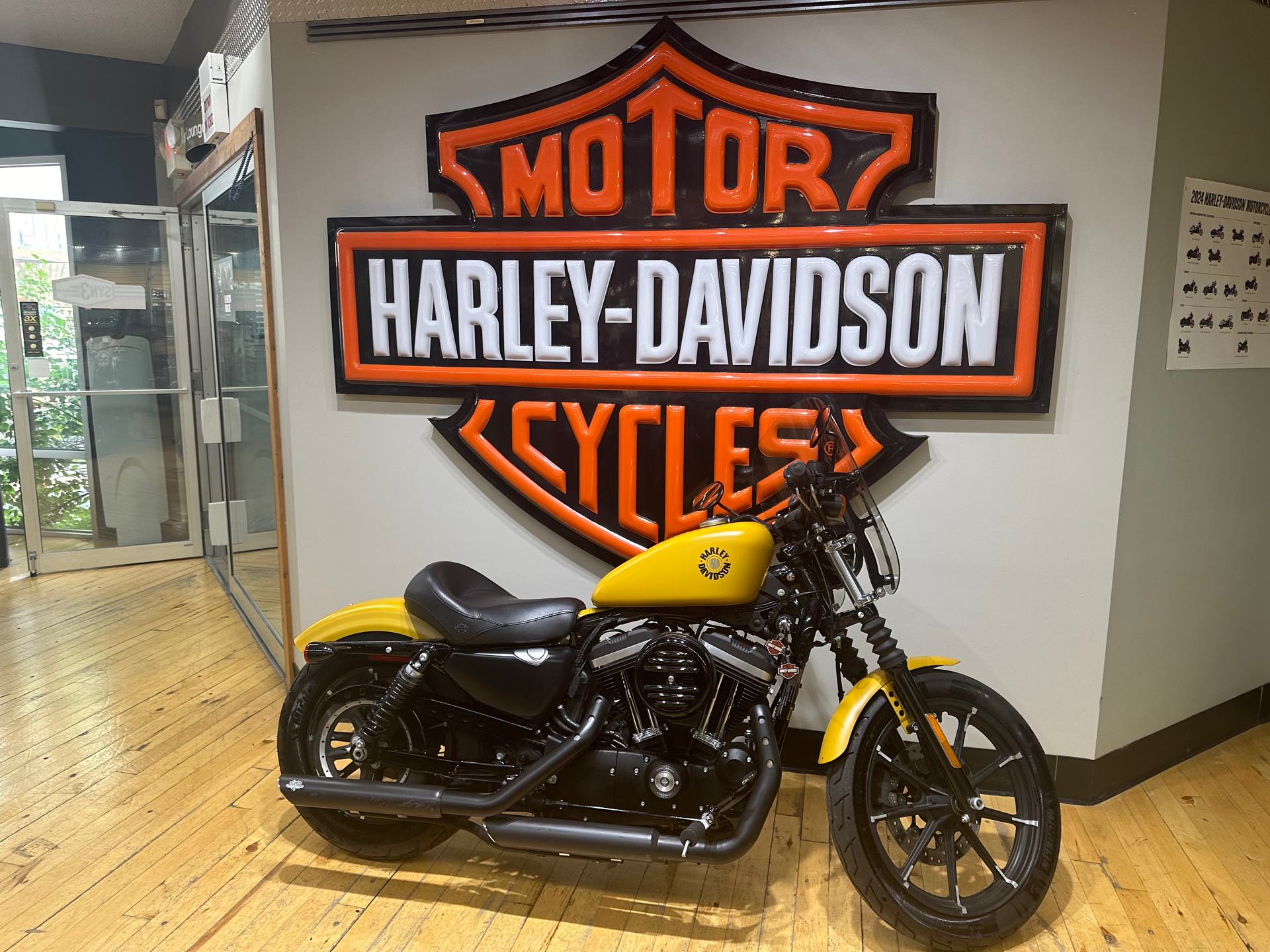 2019 Harley-Davidson Sportster Iron 883T at Zips 45th Parallel Harley-Davidson