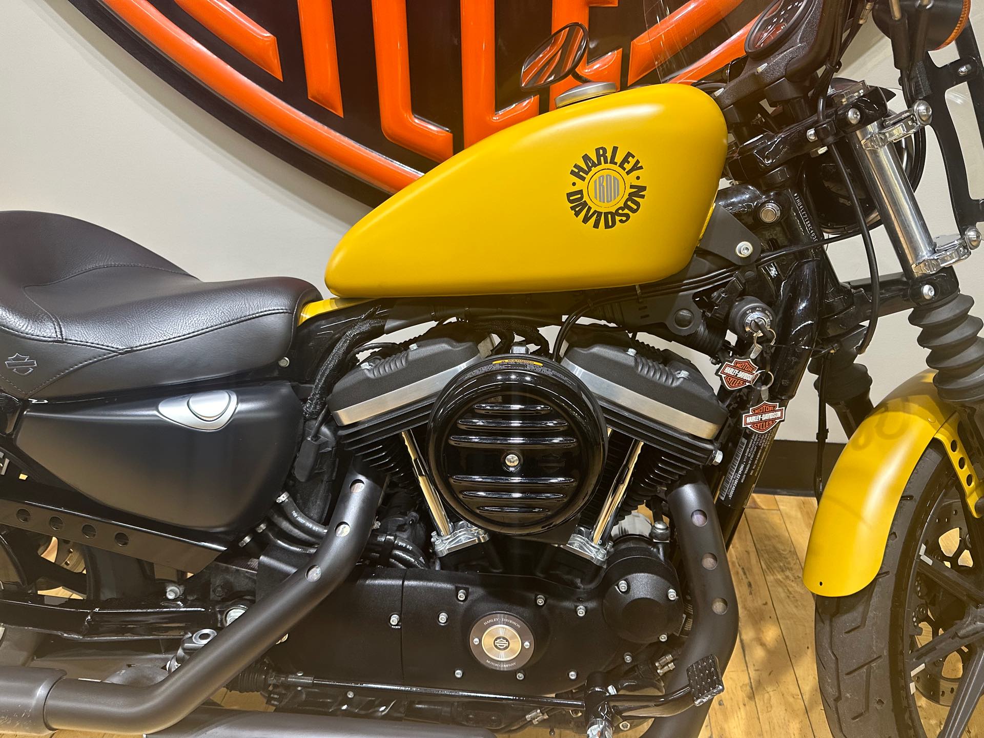 2019 Harley-Davidson Sportster Iron 883T at Zips 45th Parallel Harley-Davidson