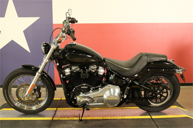 2021 Harley-Davidson Softail Standard Softail Standard at Texas Harley