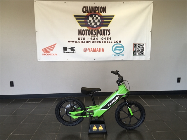 2024 Kawasaki KSK03ARFNN-GN1 at Champion Motorsports