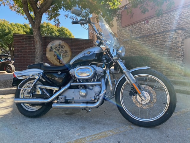 2003 Harley-Davidson Sportster 883 Anniversary at Lucky Penny Cycles