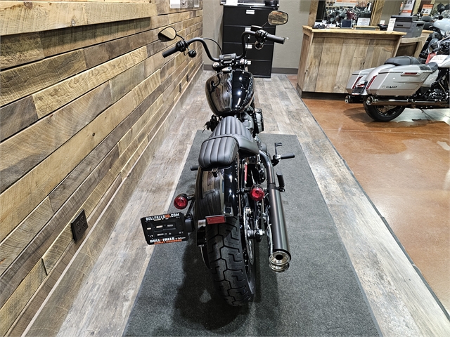 2024 Harley-Davidson Softail Street Bob 114 at Bull Falls Harley-Davidson