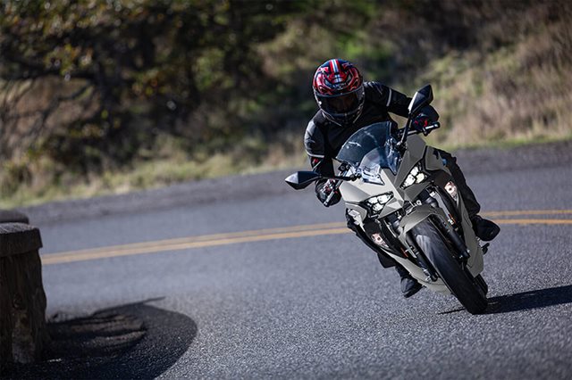 2025 Kawasaki Ninja 500 ABS at Ehlerding Motorsports