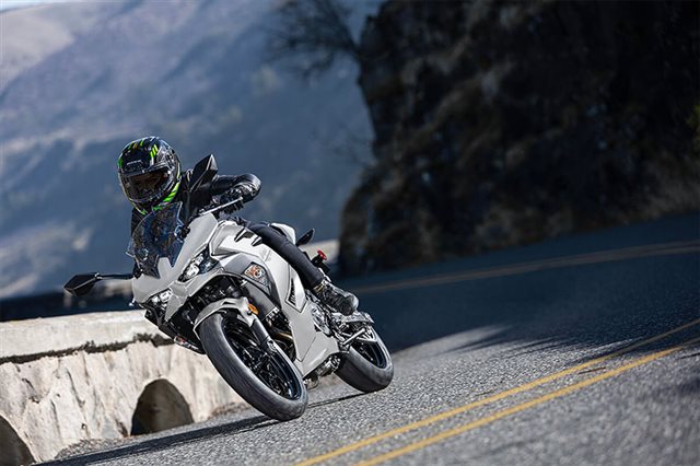 2025 Kawasaki Ninja 500 ABS at Ehlerding Motorsports