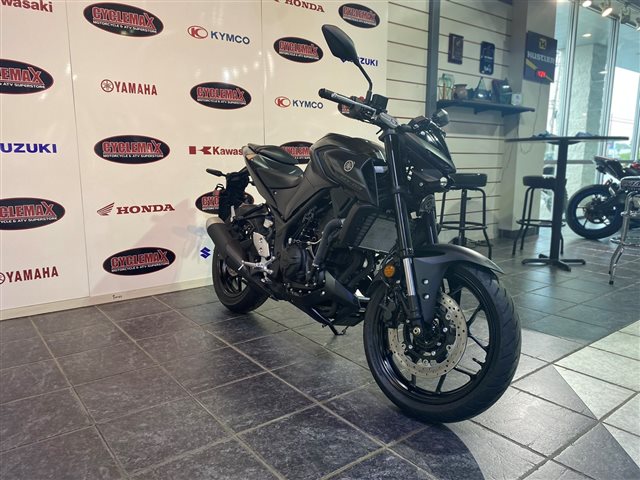 2024 Yamaha MT 03 at Cycle Max