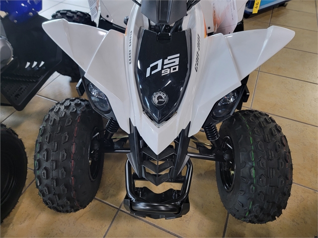 2022 Can-Am DS 90 at Sun Sports Cycle & Watercraft, Inc.